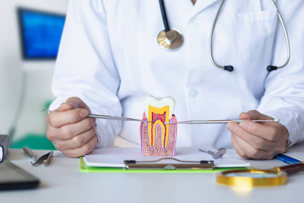 Best Pediatric Emergency Dentist in Adair Village, OR